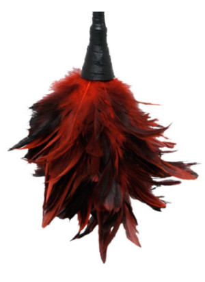Frisky Feather Duster